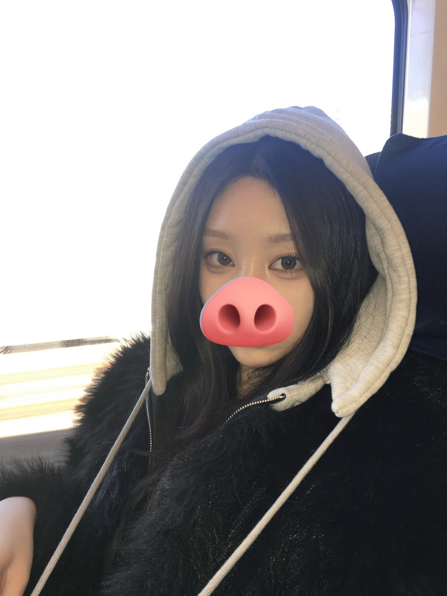 ¿ (@ddoddo124) on Twitter photo 