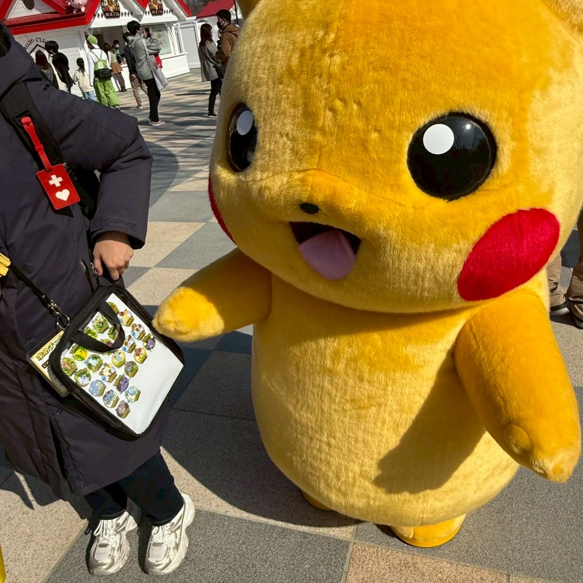 野良グリもろもろ！ カイリューが棒立ちなの草 ピカチュウがうちの