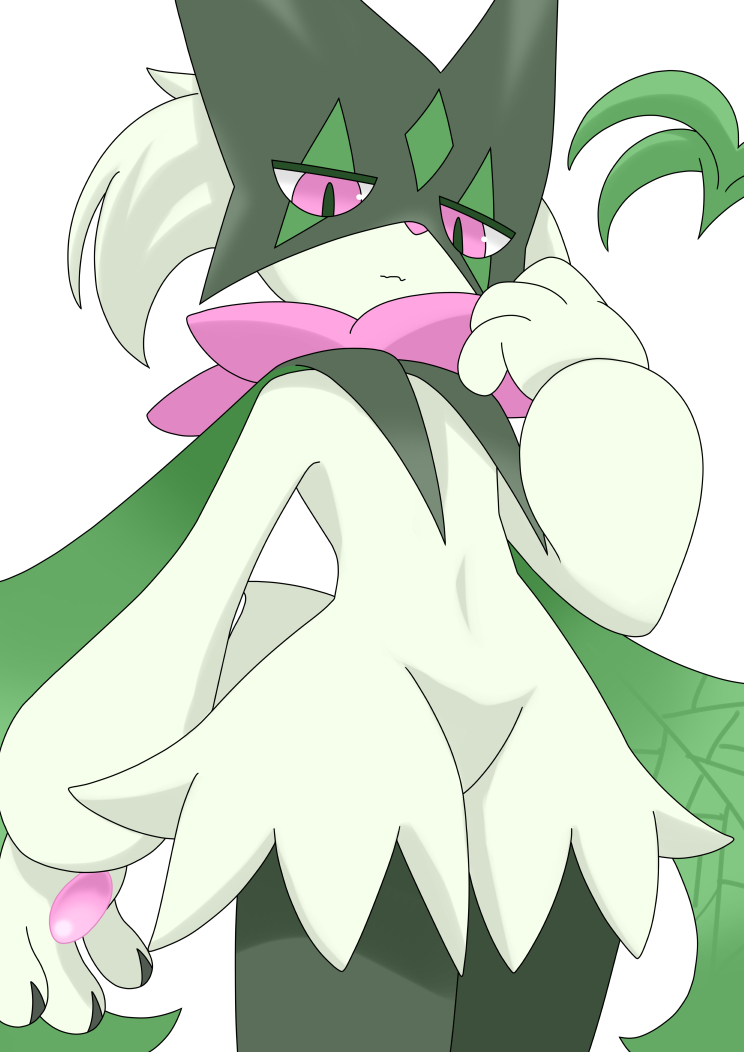 しぇらす tweet media