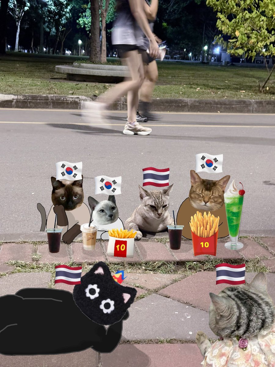 こうかな？😂もっと増えるかもね😂😆🐈🐈‍⬛💜