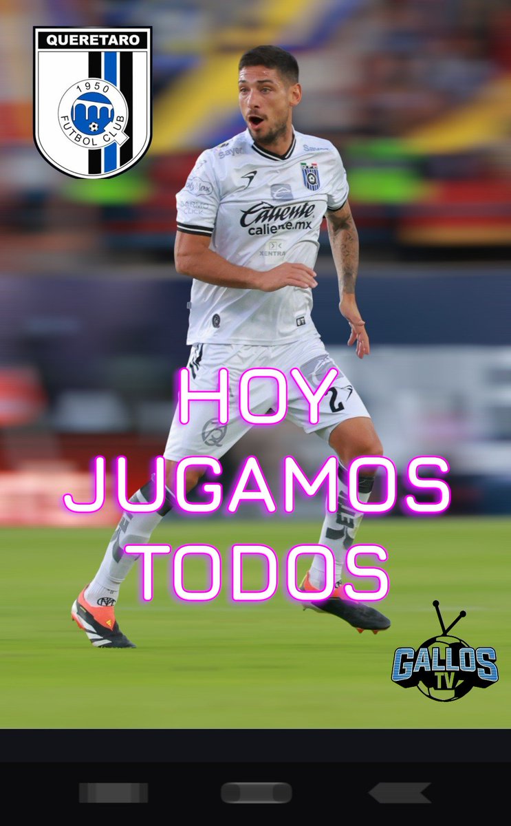 GallosTV tweet media