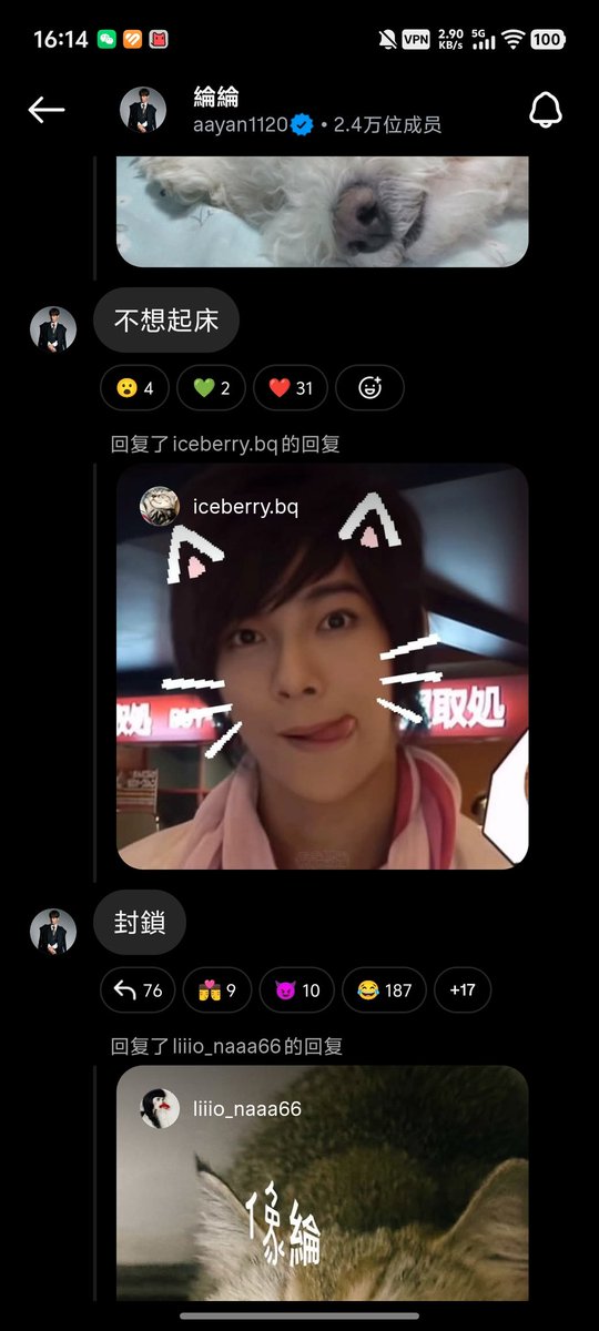 爱人如己 tweet media