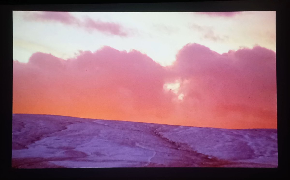 Richard Sargent tweet media