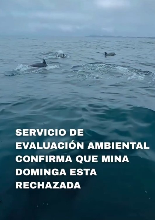 Muy buen Domingo para Todos todas y todes 🐱💜🐱