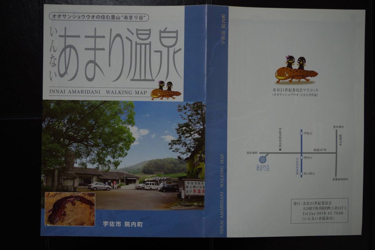 田口勇輝＠オオサンショウウオ生態保全教育文化研究所　所長 tweet media