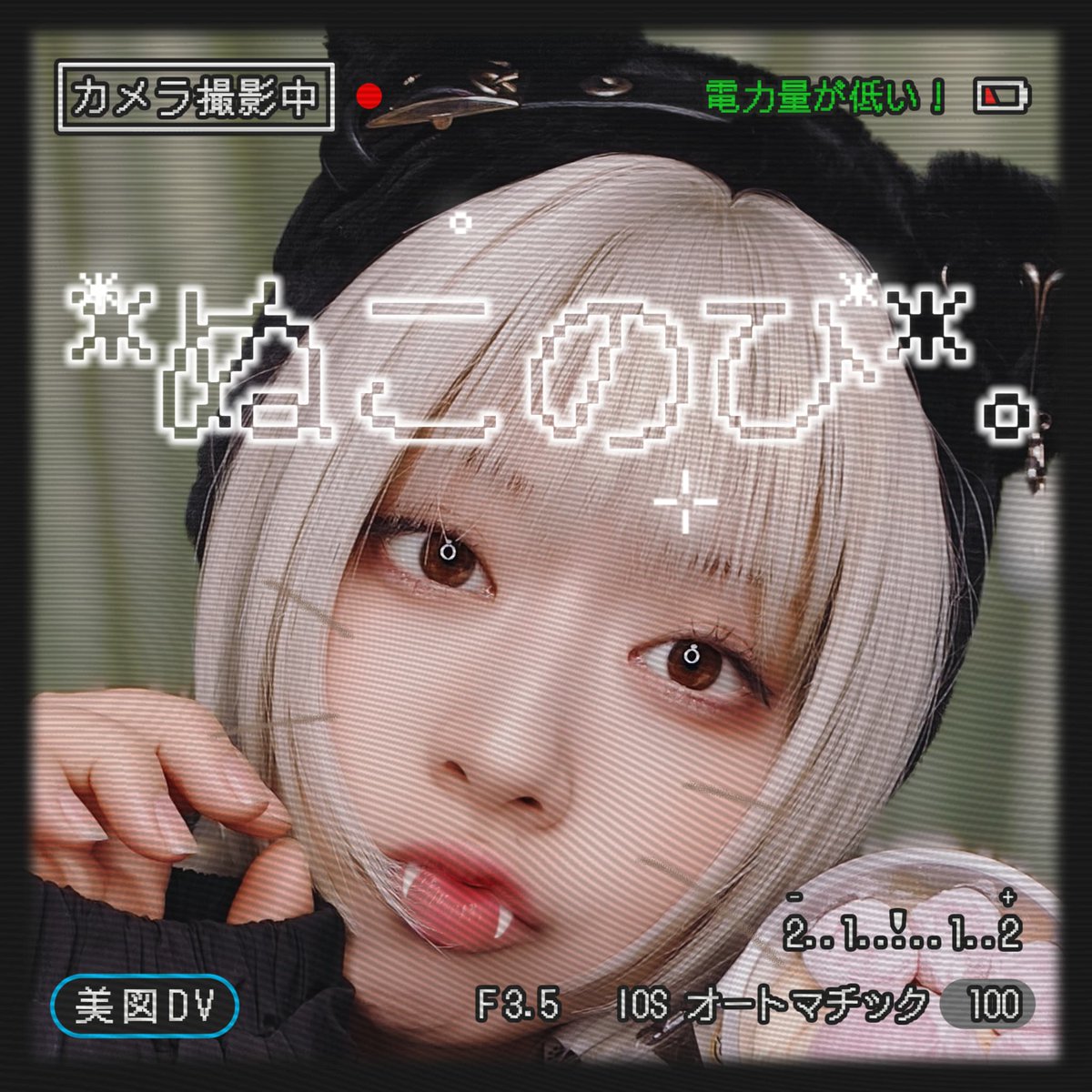 みき茶🍵_Anime Japan.29 (@MIKInuko48) / Posts / X