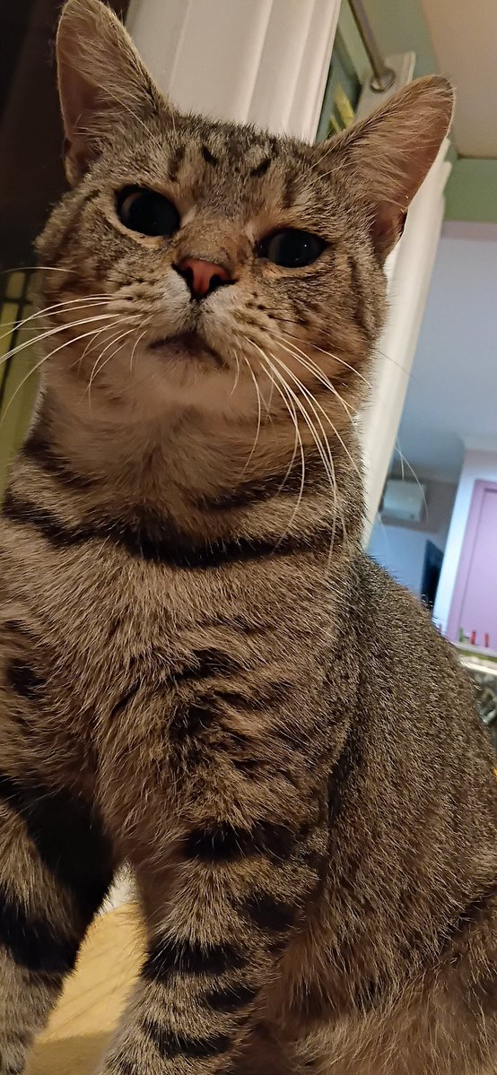 i feel judged by him