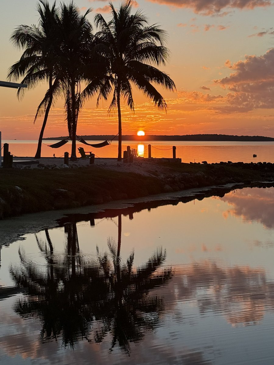 Raquel Rothe tweet media