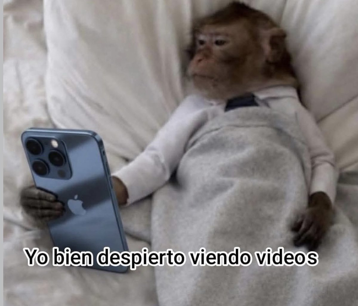 Guarromantico_'s tweet photo. Yo: el domingo voy a levantar hasta muy tarde https://t.co/VIRmiOF0uJ