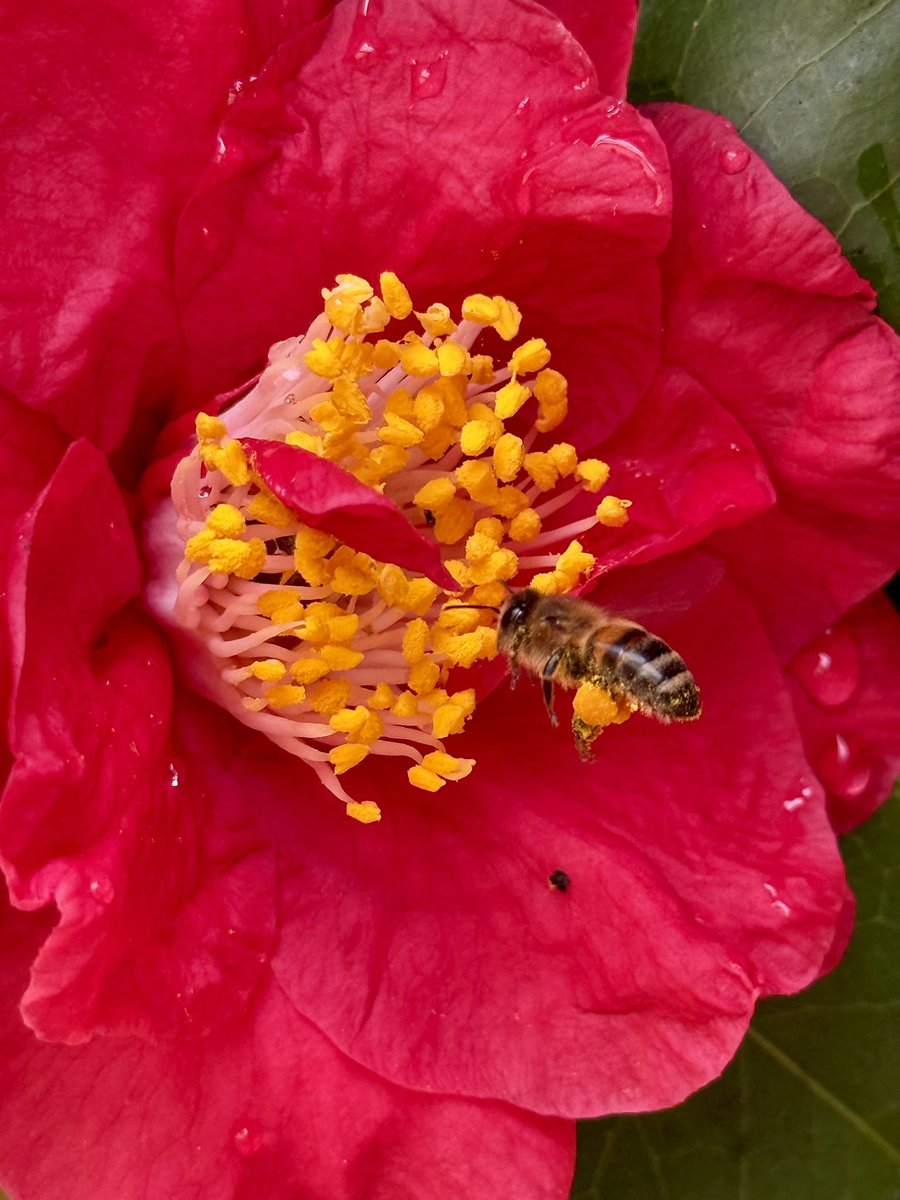 Cath Parslow 💙 tweet media