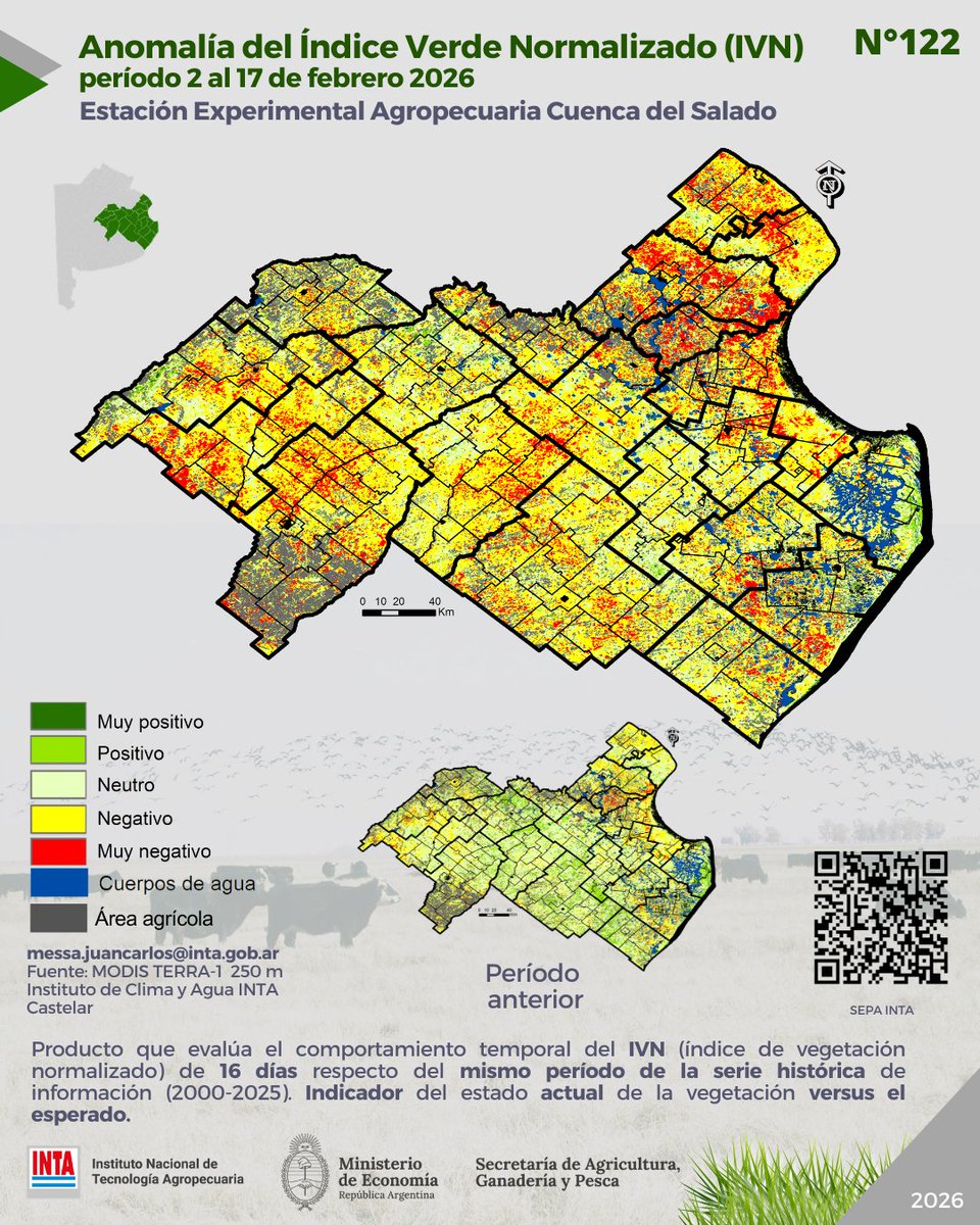 Carlos Messa tweet media
