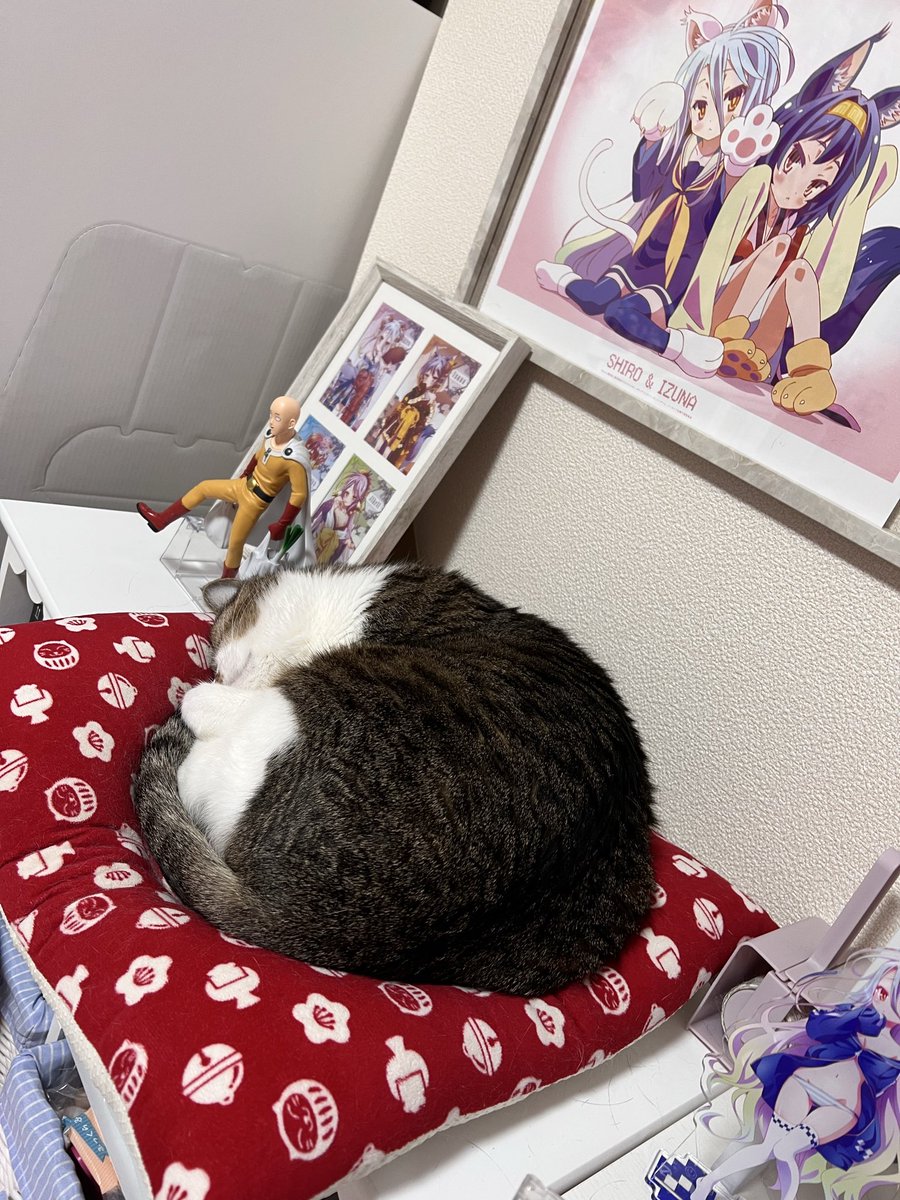 2月22日皆さん沢山お猫様拝みましたか？ 全世界のお猫様が1日でも長く