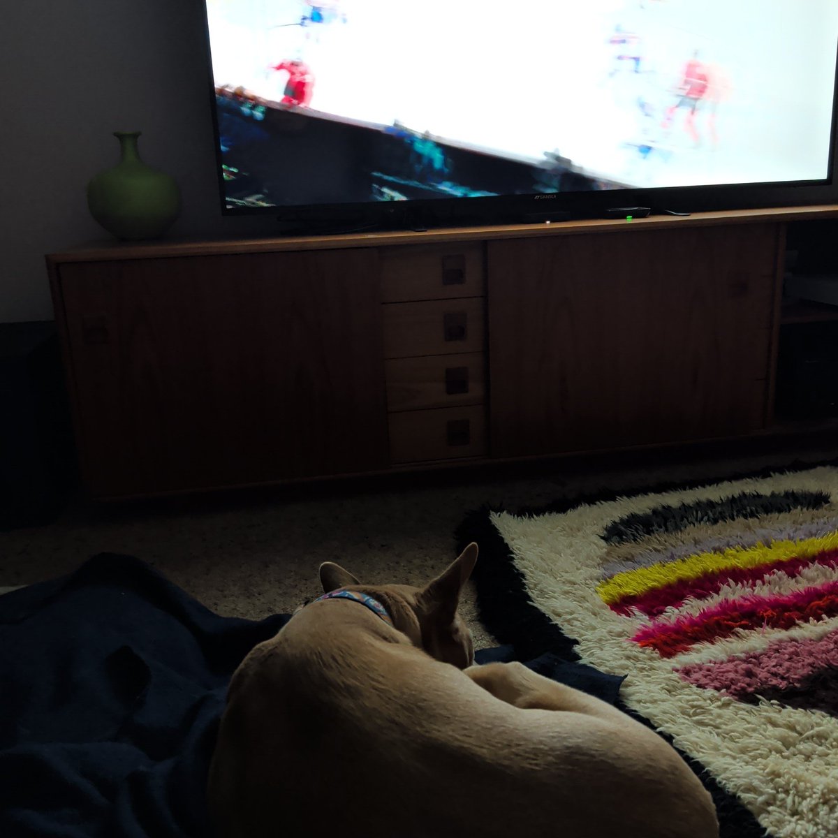 Dan Overes tweet media