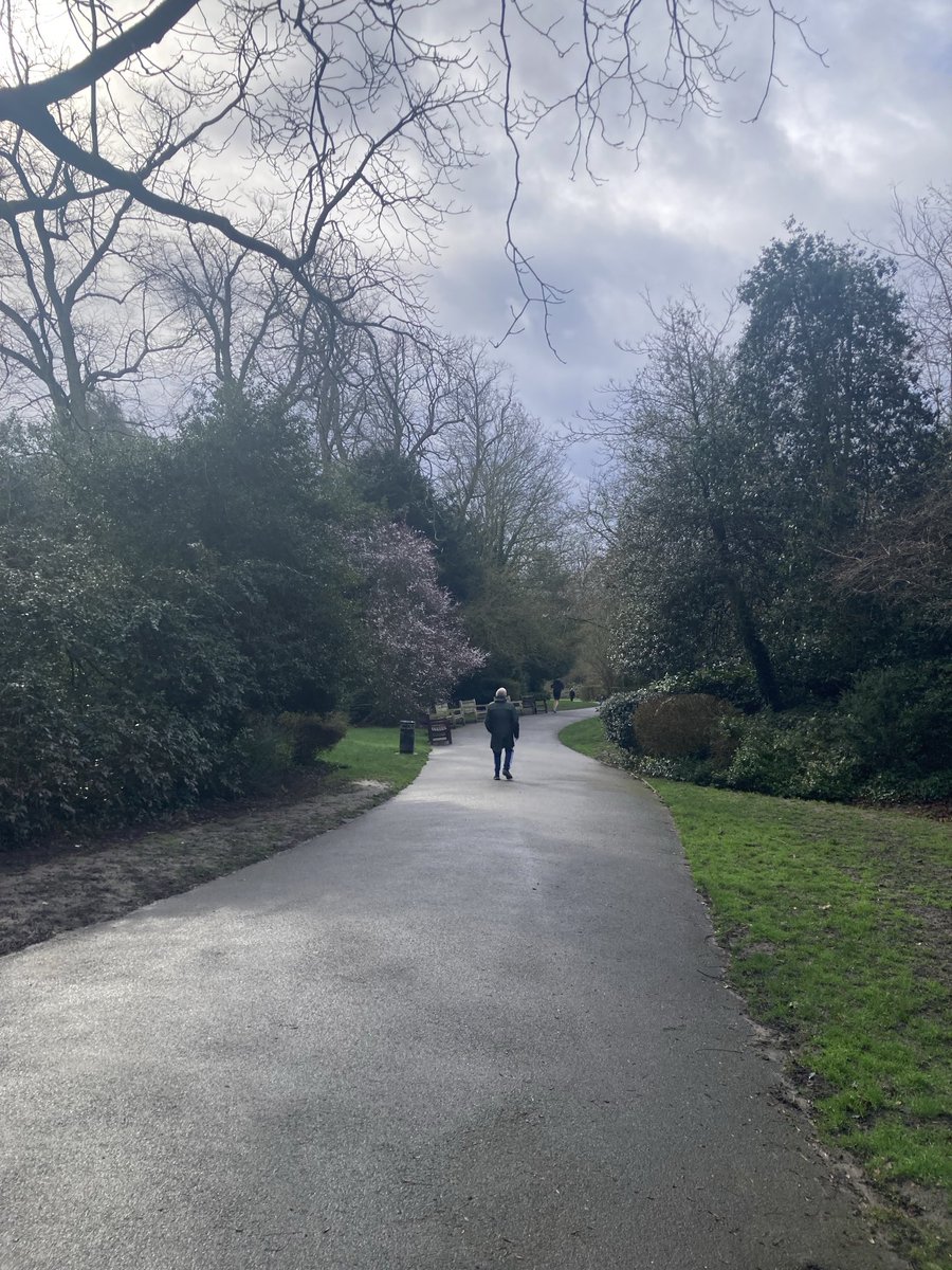 Waterlow Park tweet media