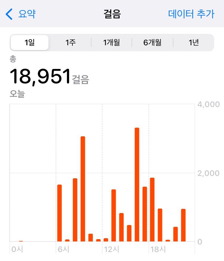 뭘 딱히 한건없고 계속걸음