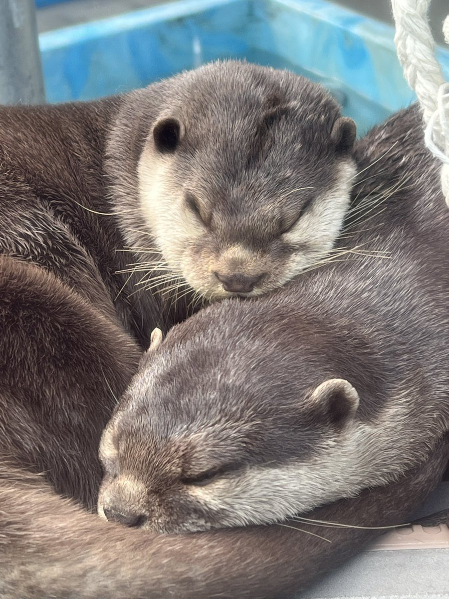 Garcia (@emma45091917) / Posts / X