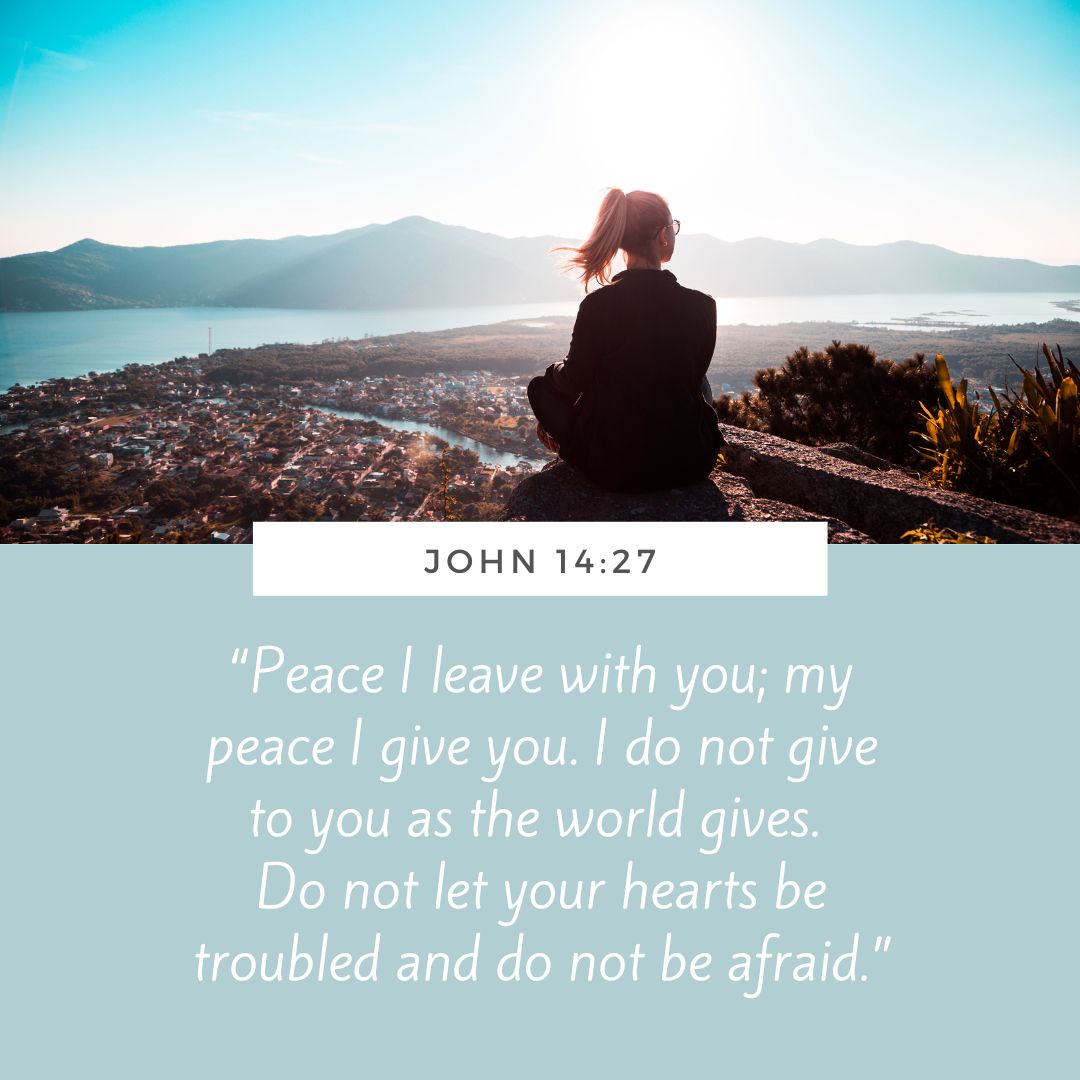 TrinitySchoolNatHlth tweet media