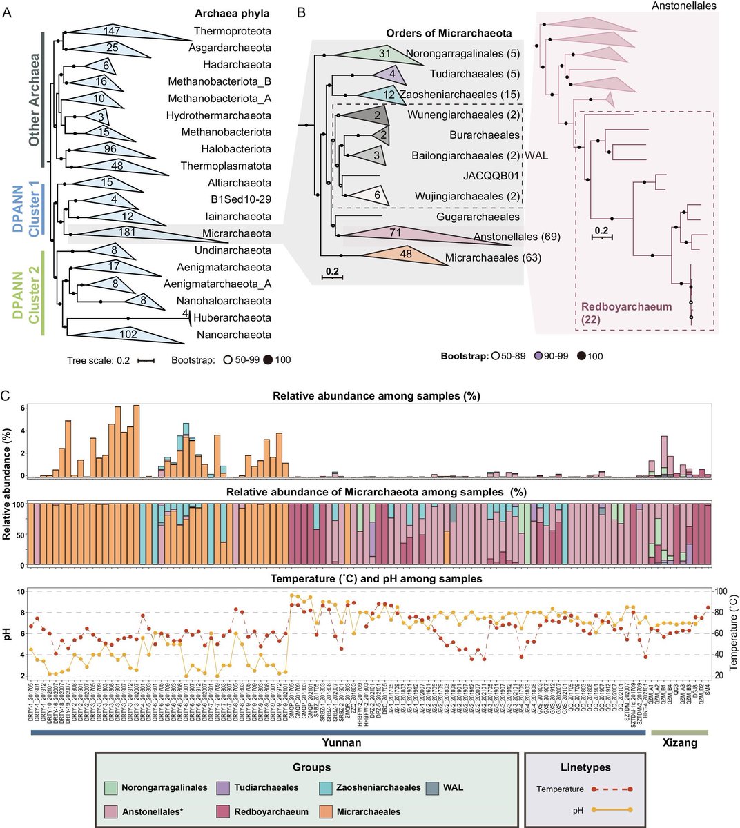 Evgenii Protasov tweet media