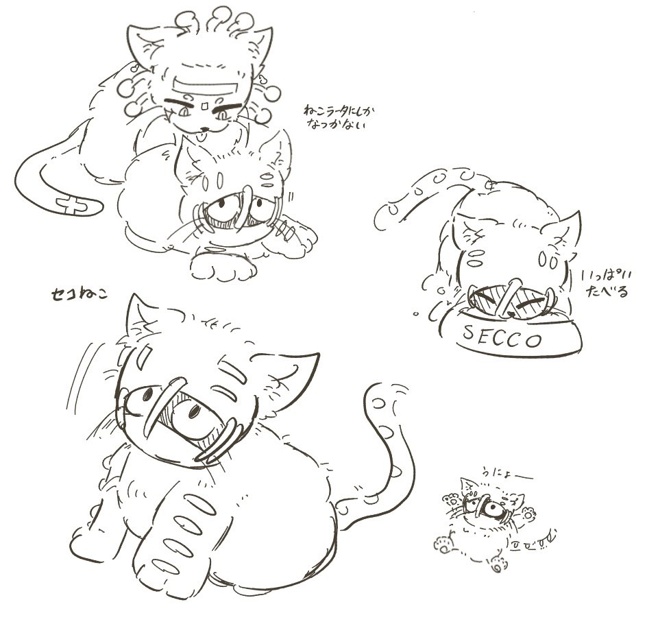 🐈‍⬛📹 (🍫)