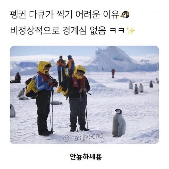 챱 (@lovx11_very) on Twitter photo 