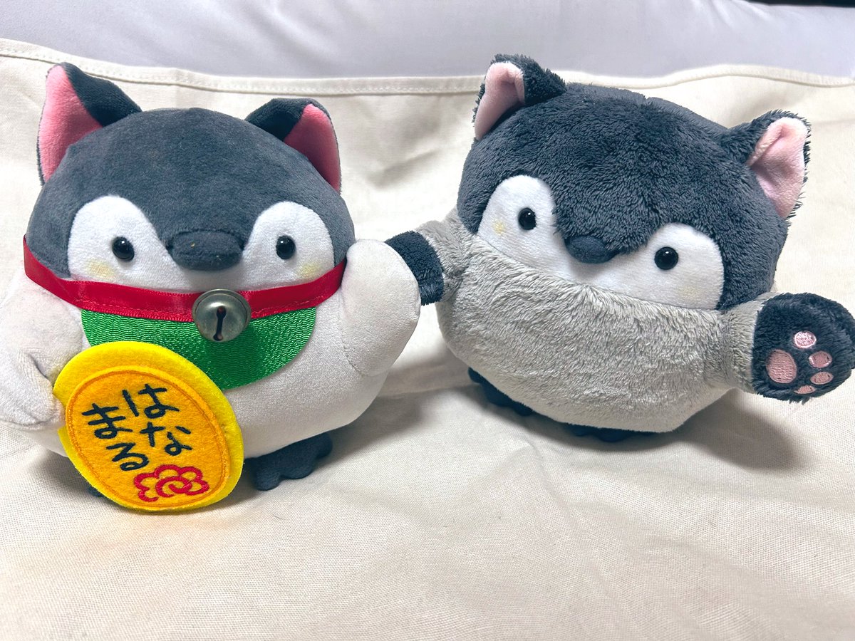 猫の日 #コウペンちゃん