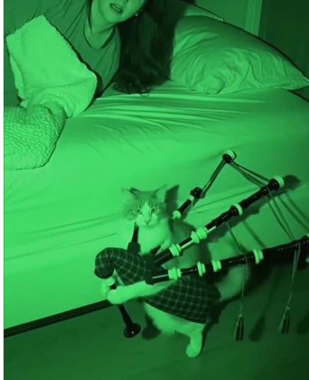 punniebugger's tweet image. Haunt someone with ghost bagpipes #ThingsToDoOneAtATime