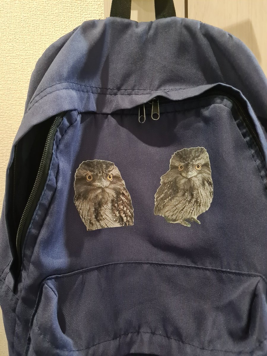 初めてsuzuriで作ったがまーずのリュック
何年も使ってきたけどチャックが壊れたのでさよなら…🥲
また買うかどうしようか🤔