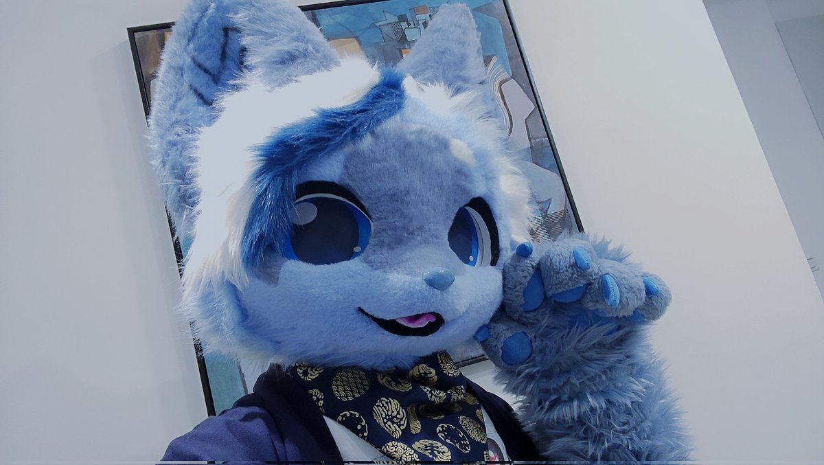 三次元乗貳貓 tweet media