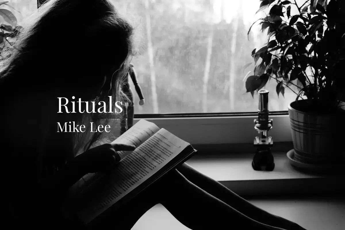 Bristol Noir tweet media