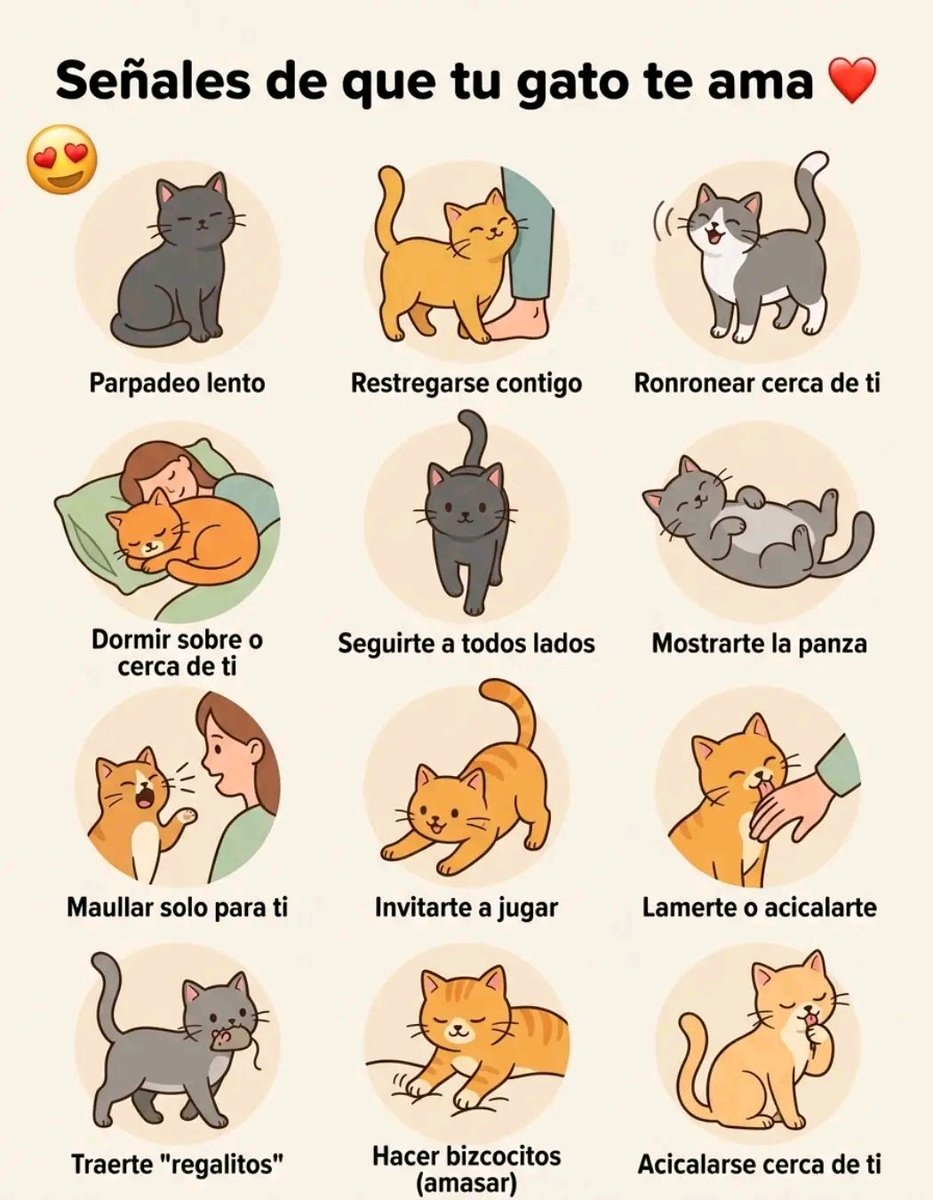 ❤️🐱🐾