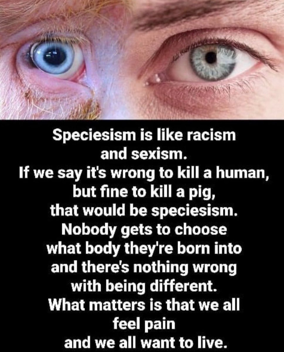 Why Aren't You Vegan? tweet media