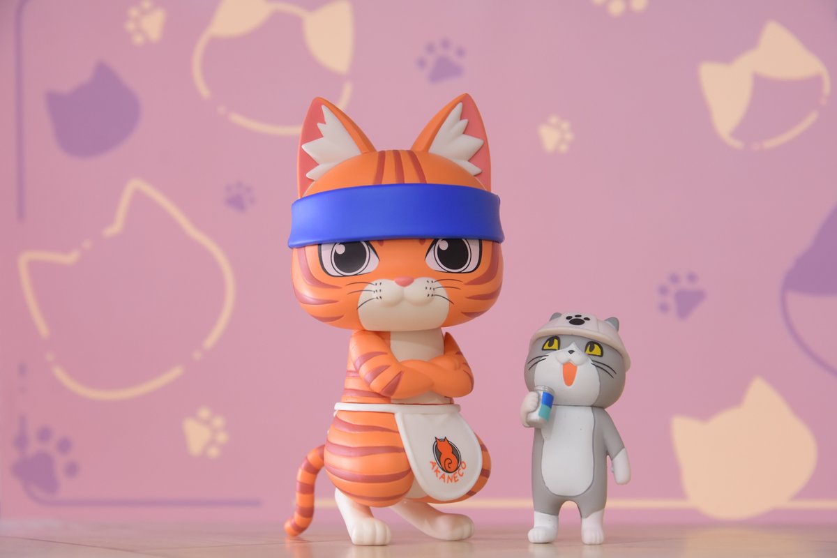 2/22【ねこ】 猫 #ラーメン赤猫 #深夜のねんどろ撮影60分一本勝負