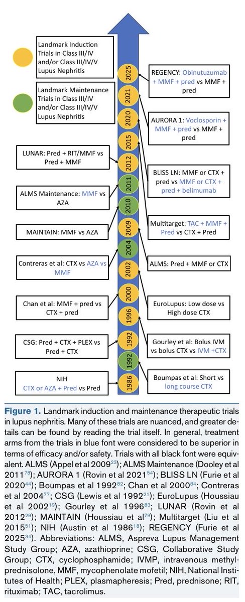 Rheuma Doc tweet media