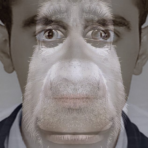 فرزند منوچهری(ابولولوسابق) tweet media