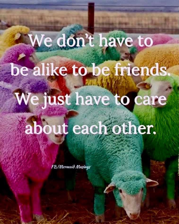 #Kindness
#PositiveEnergy 
#Bluehand