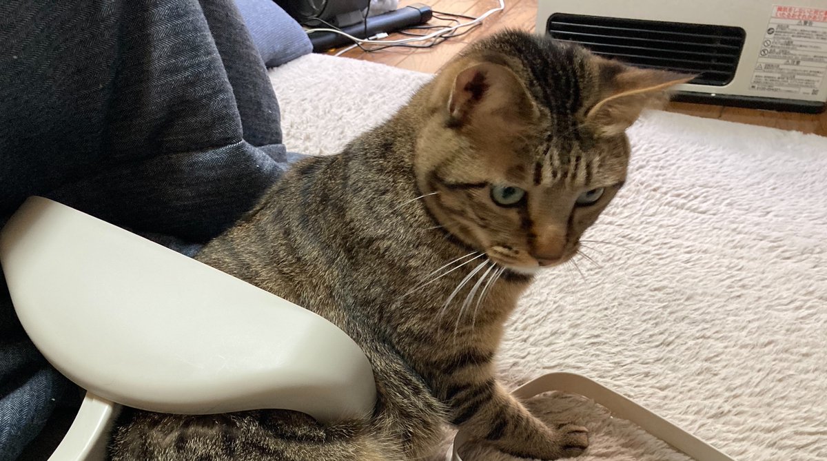 ムッキー (@mucky44) / Posts / X