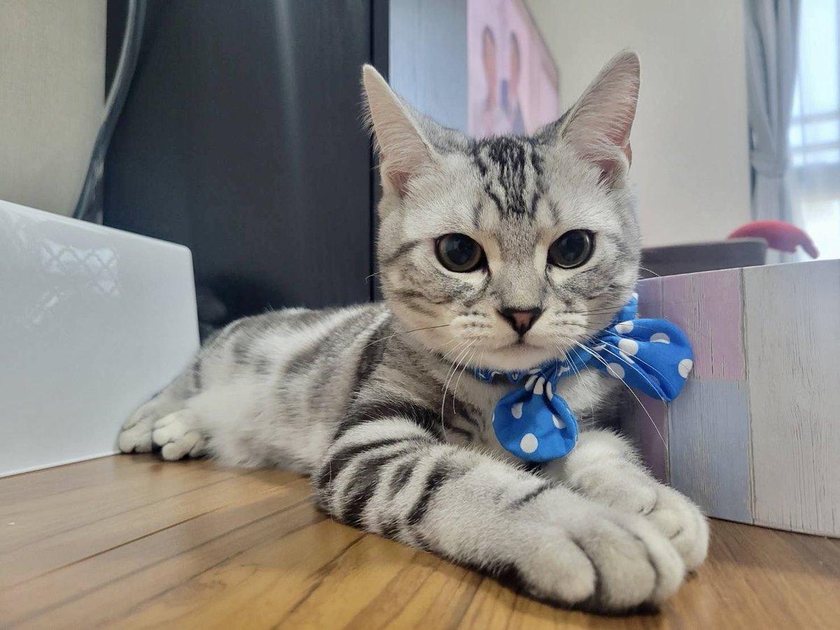 ロイくんおしゃれさん！！似合ってるー💙