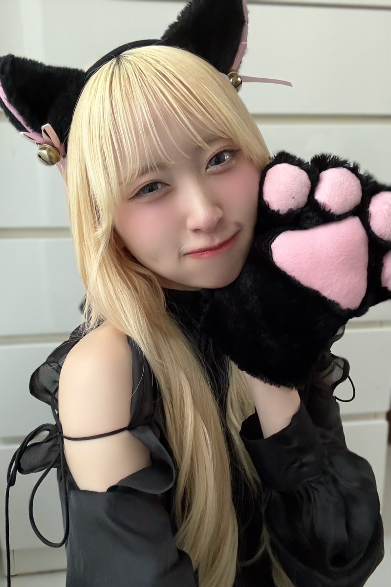 Post by 川中子 奈月心 on X: 猫の日🐈‍⬛