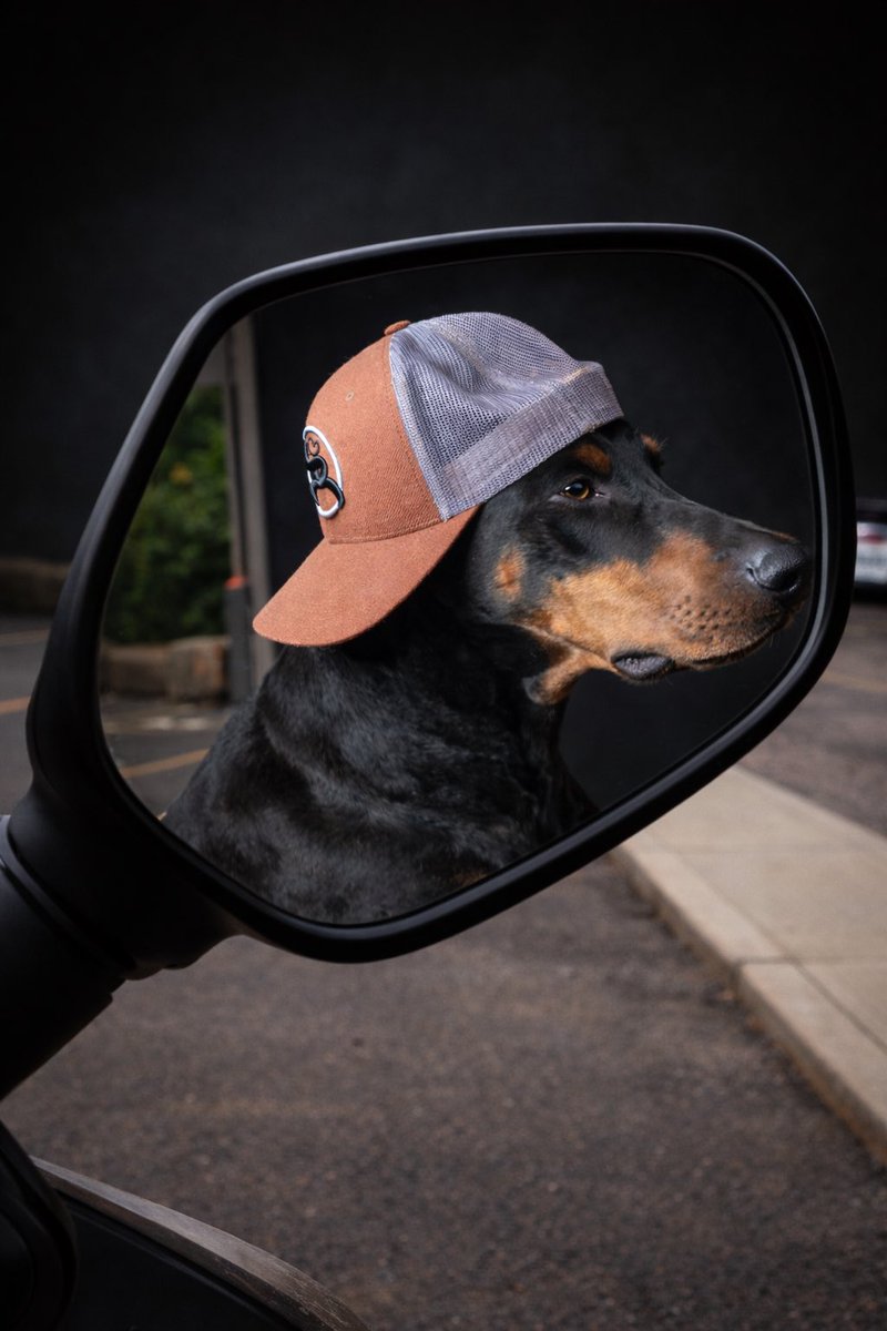 zz_Ava_'s tweet image. Good Morning ☀️ 

Starting the day with gratitude and good energy.