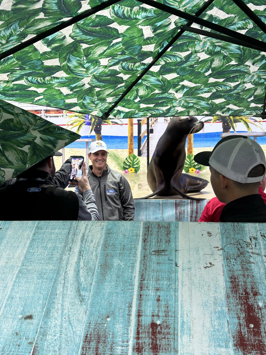 Daniel Roelkey 🏆 tweet media