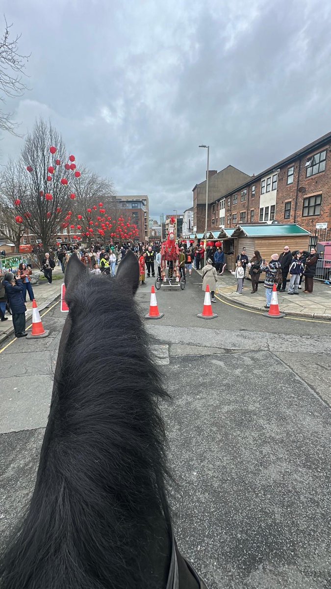 Mer Pol Mounted tweet media