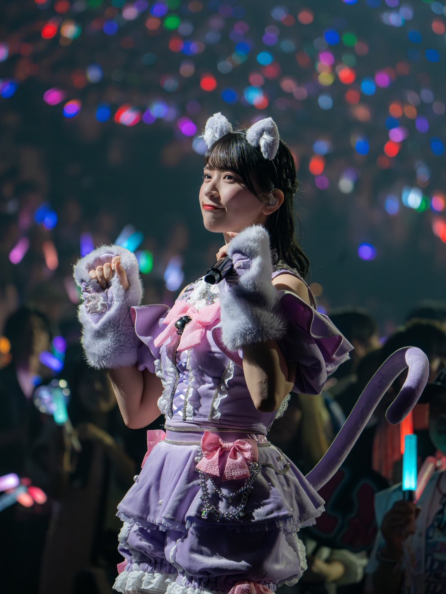 ฅ•ω•ฅ 佐々木舞香ちゃん(@sasaki_maika) #猫の日 #佐々木舞香