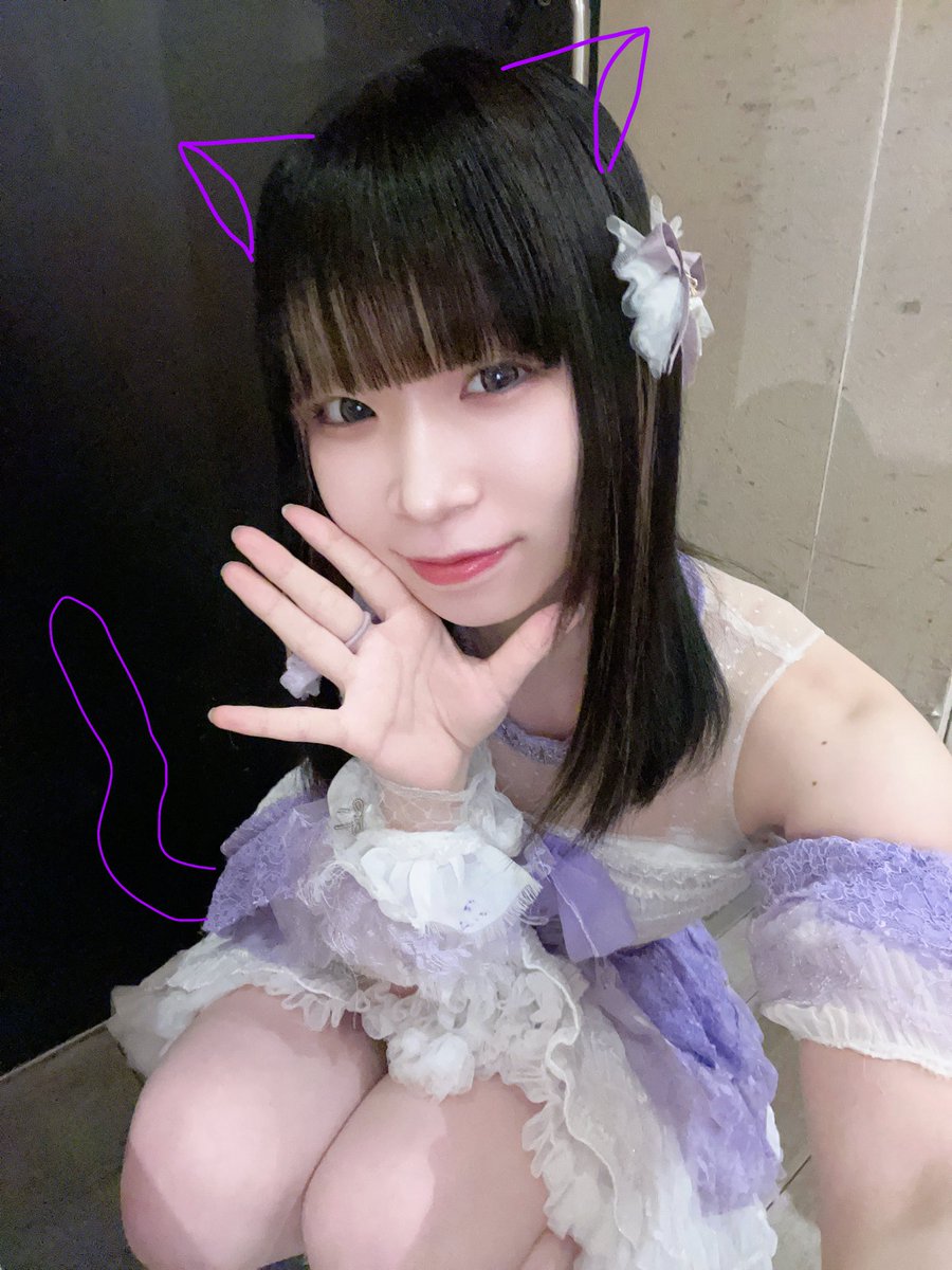 ᐠ. .ᐟ Ⳋ にゃ。