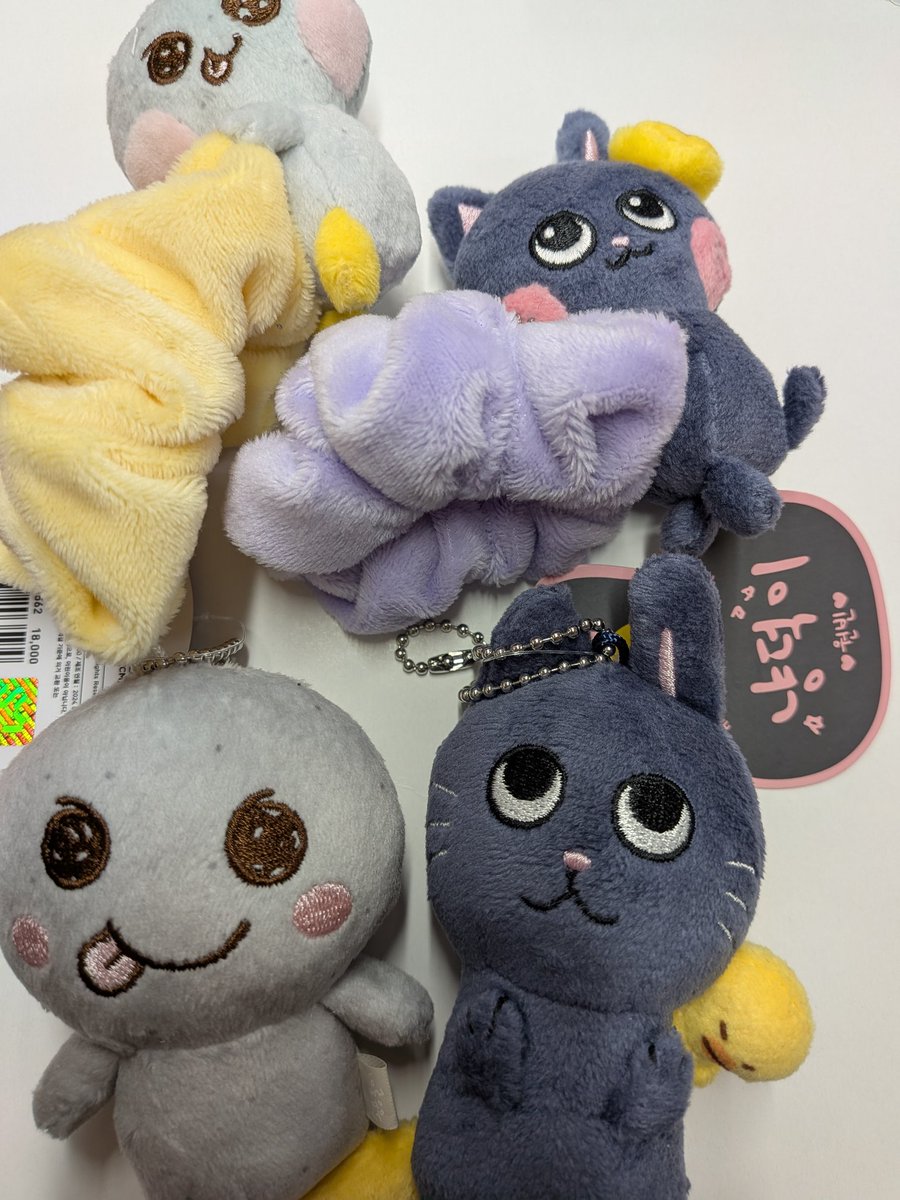 RIIZE ぬいぐるみにペンライト、トレカご紹介🎶K-POP公式グッズお求め