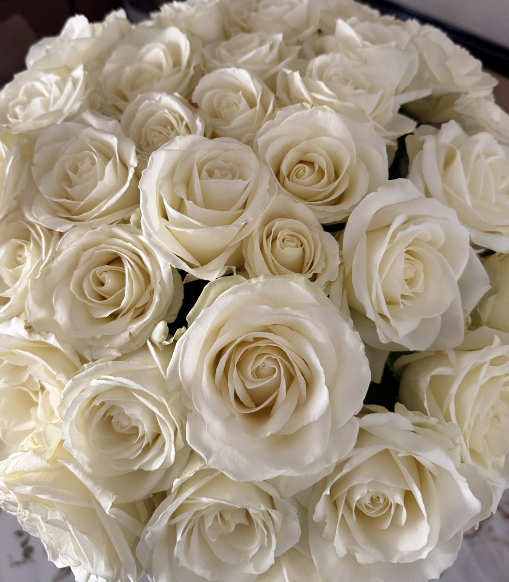 DateCaroline tweet media