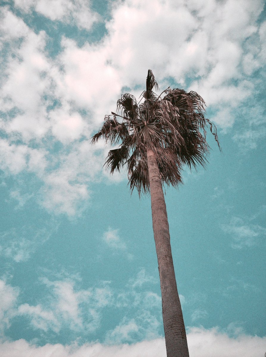 menthol100's tweet photo. Shot on Flashback ONE35 v2
#flashback https://t.co/RGYh5qQmaX
