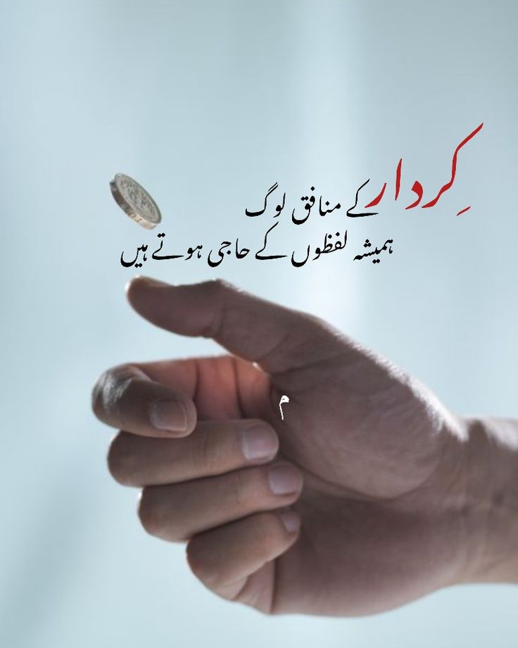 TSC tweet media