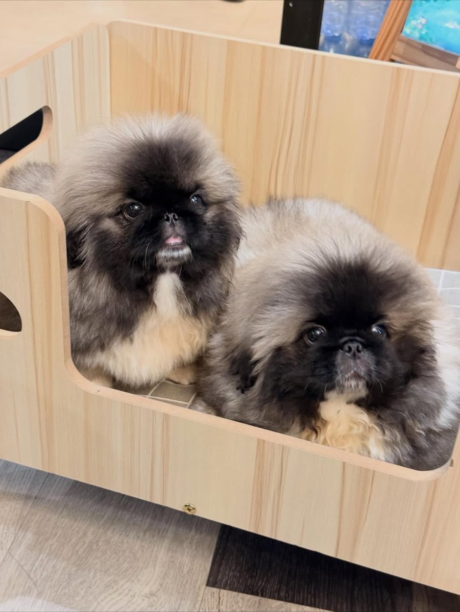 อันนี้คือหุ่นคุณแม่ลูกสองจริงๆหรอ