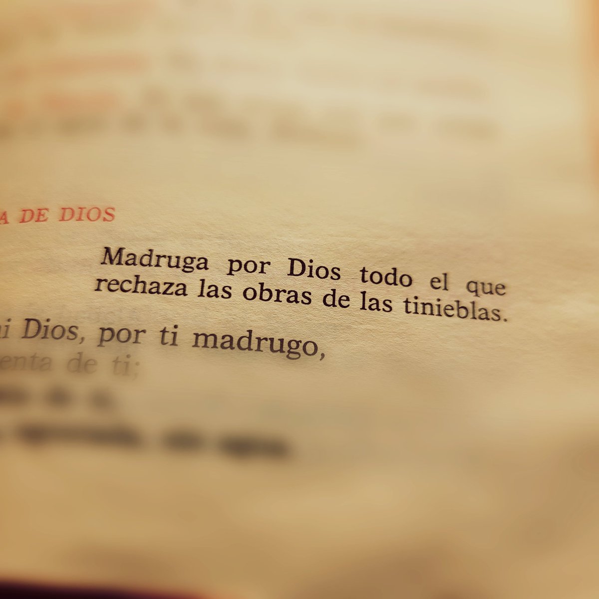 P. Eliezer tweet media