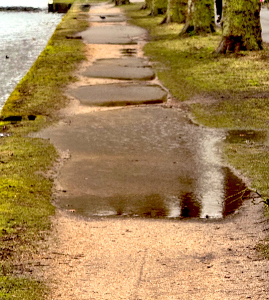 Zuidpoort tweet media